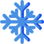 snowflake icon